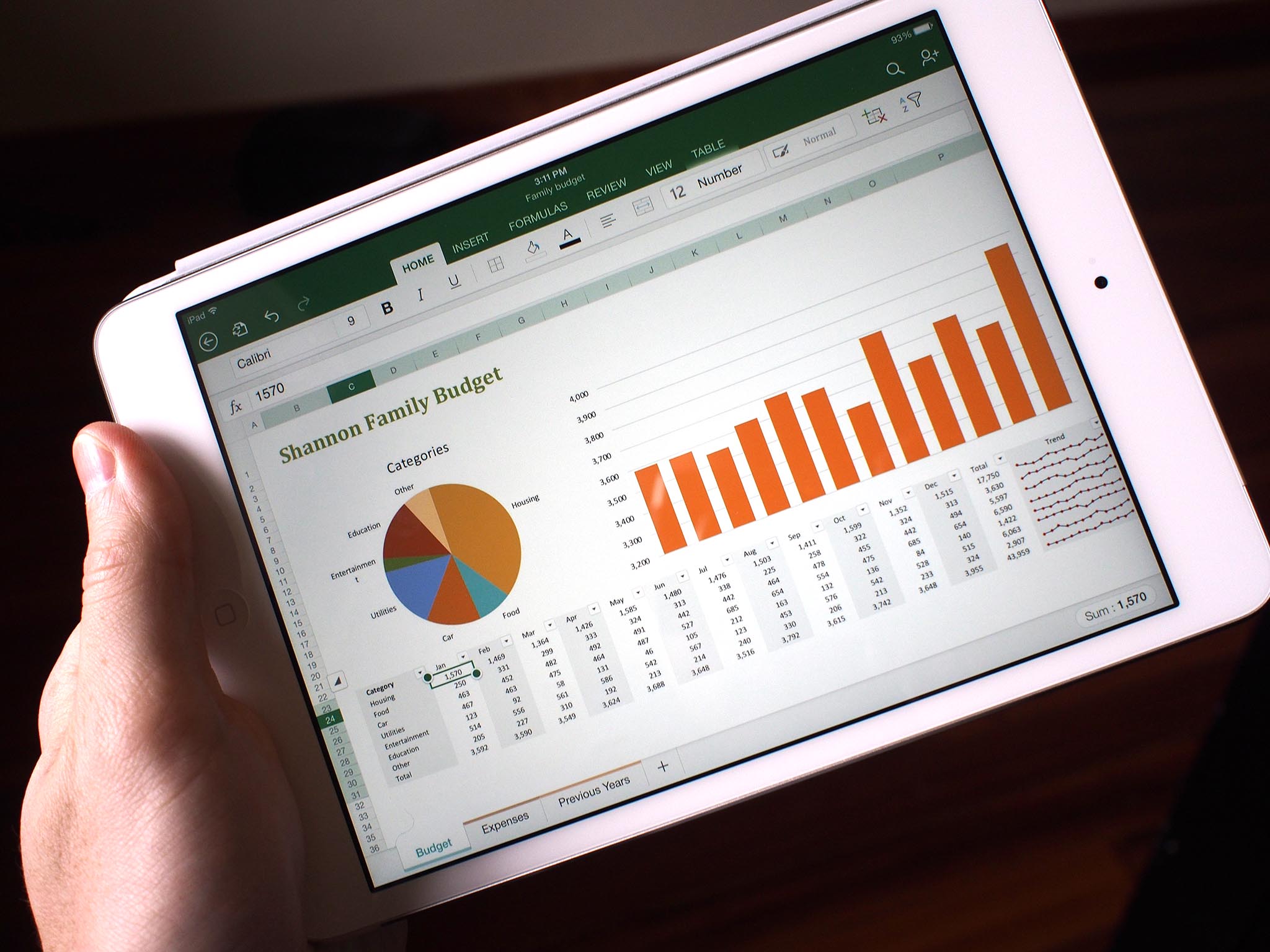 excel-for-ipad.JPG