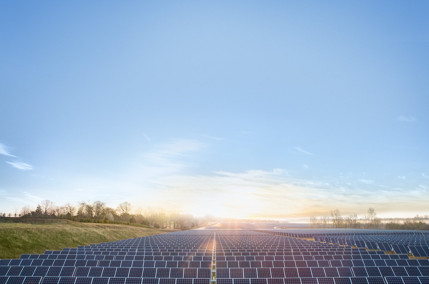 apple_solar_farm.jpg