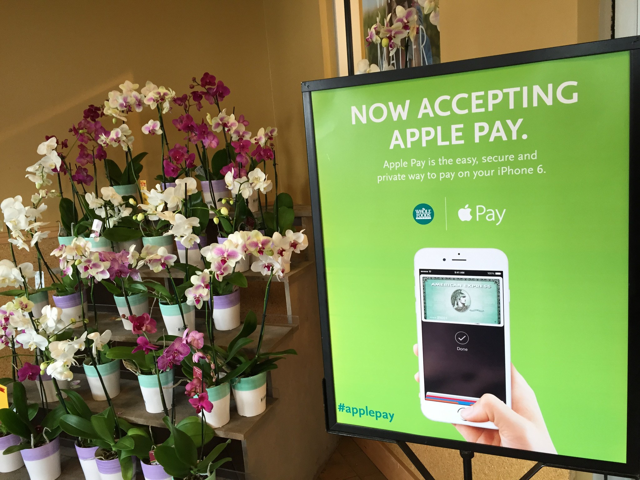 apple-pay-hands-on-hero.JPG