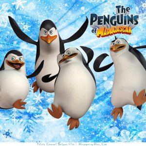 ipad_air_16985-tv_movies_the_penguins_of_madagascar_wallpaper.jpg