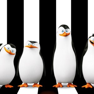 penguins_of_madagascar_skipper_kowalski_penguins_2014_97232_2048x2048.jpg