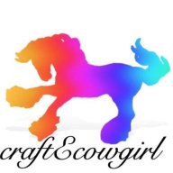 craftEcowgirl