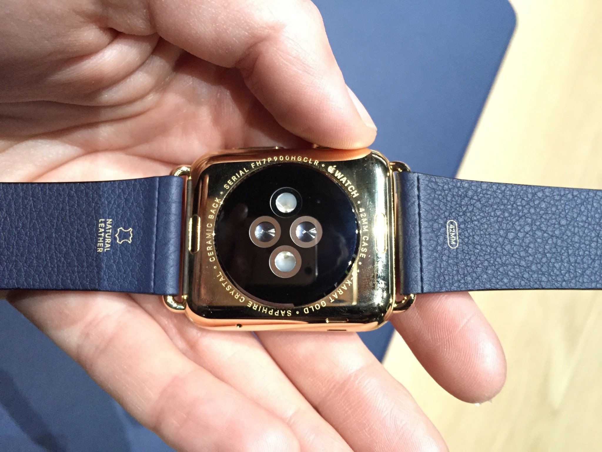 apple-watch-edition-back_0.JPG